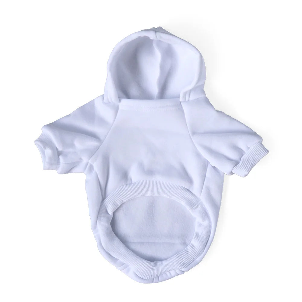 Pucci Hoodie