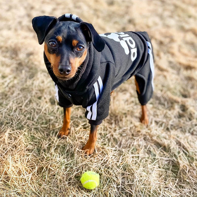 Adidog Jumpsuit