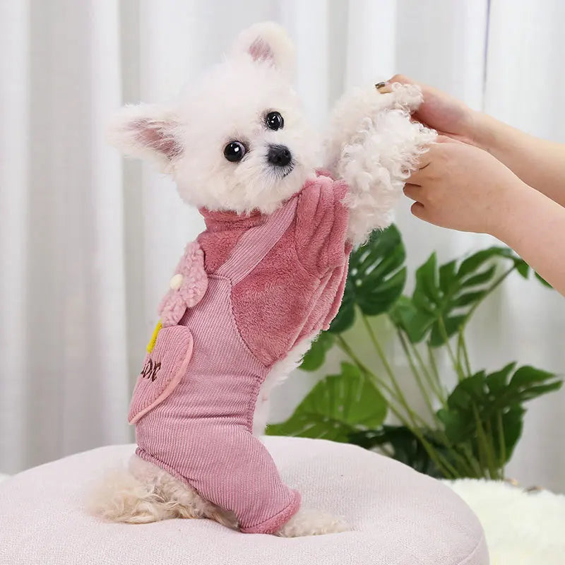 PawLove Jumpsuit