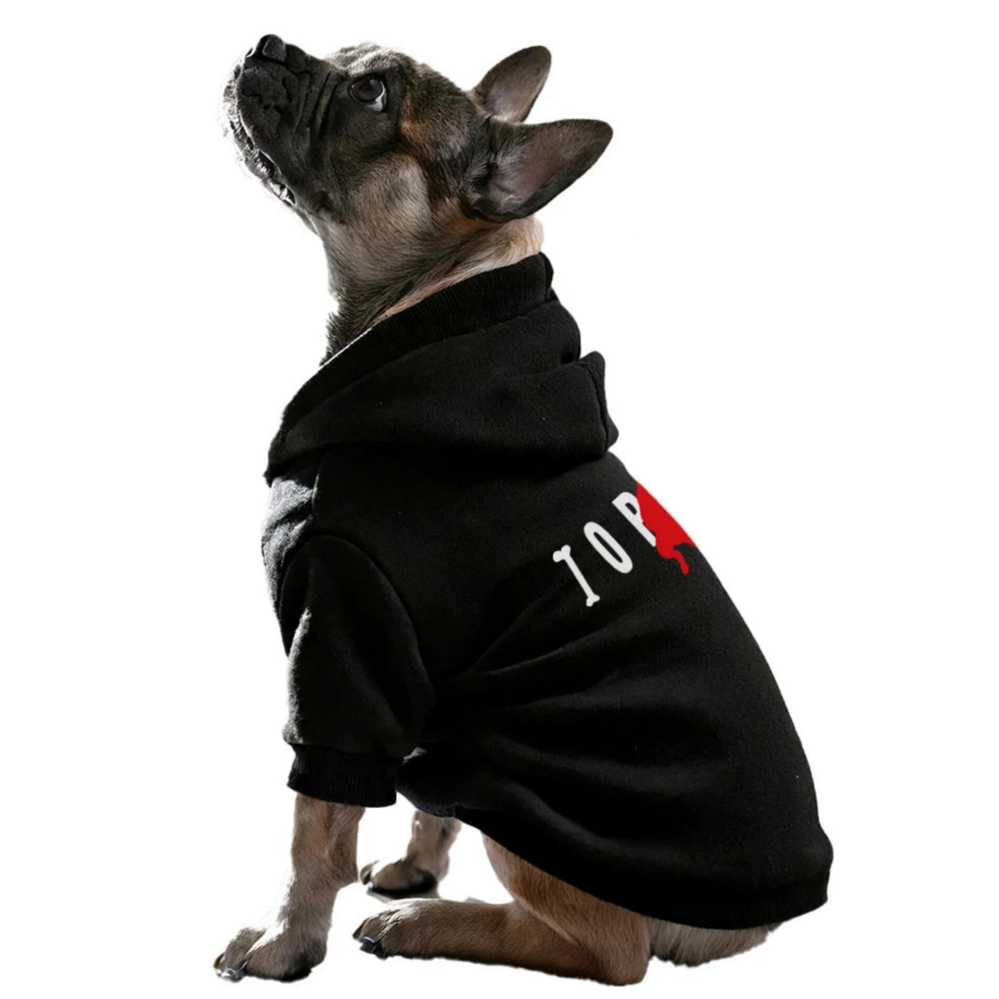 Pawordan Hoodie