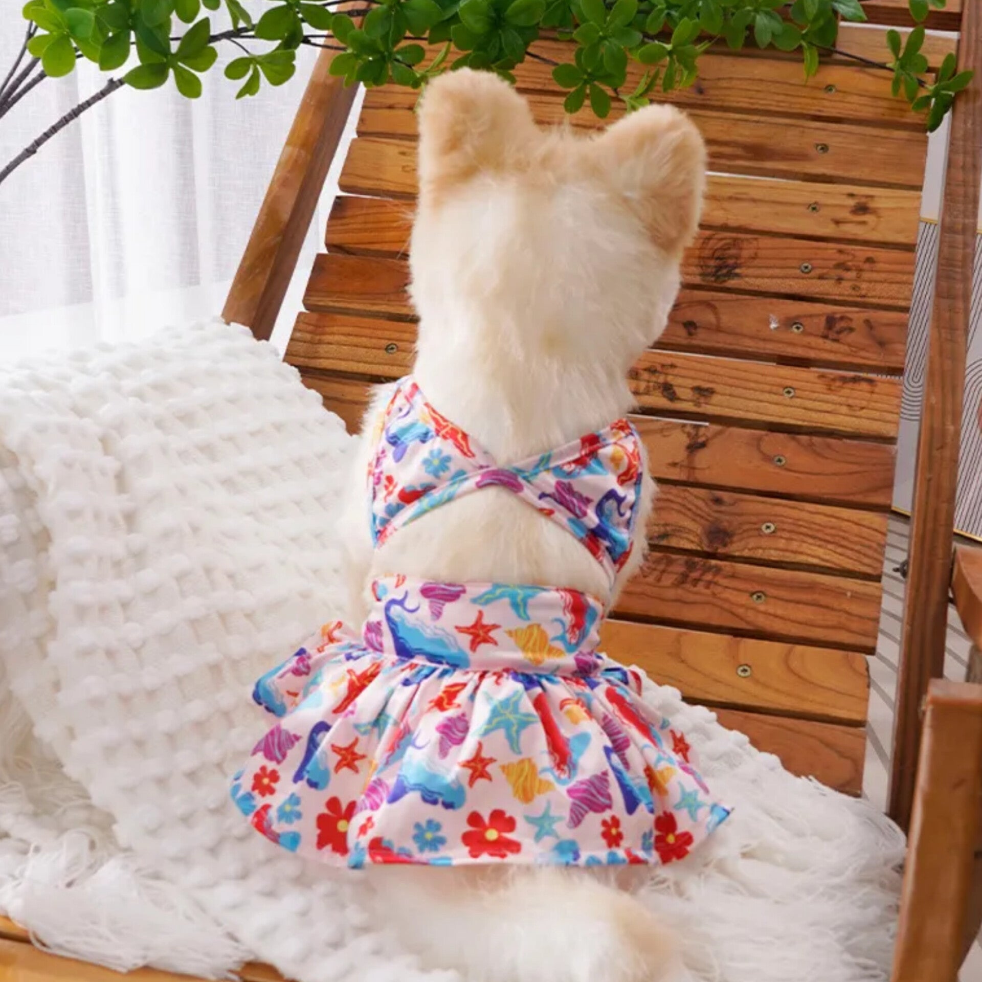 Under The Sea Swimwear