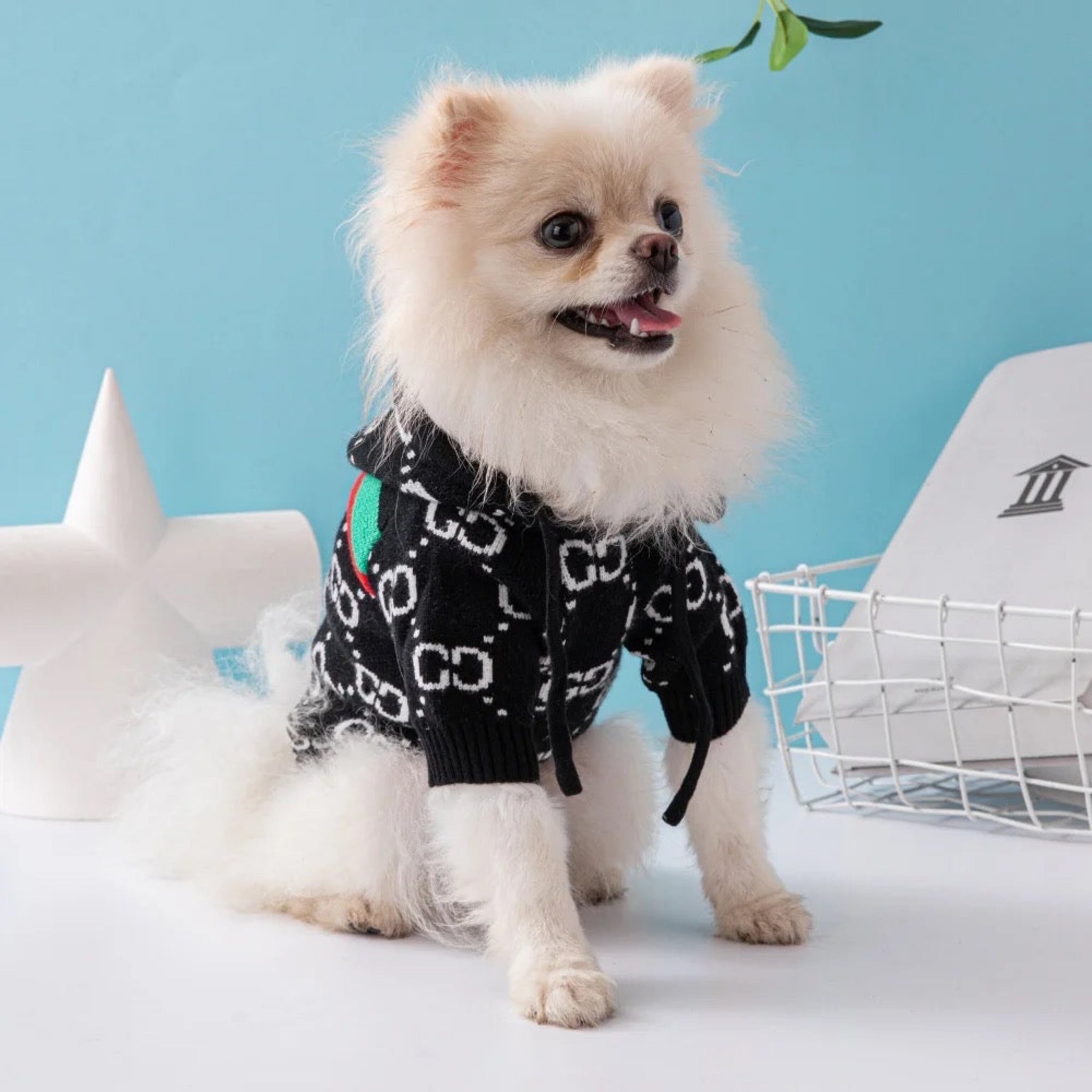 Gucchi Hooded Sweater