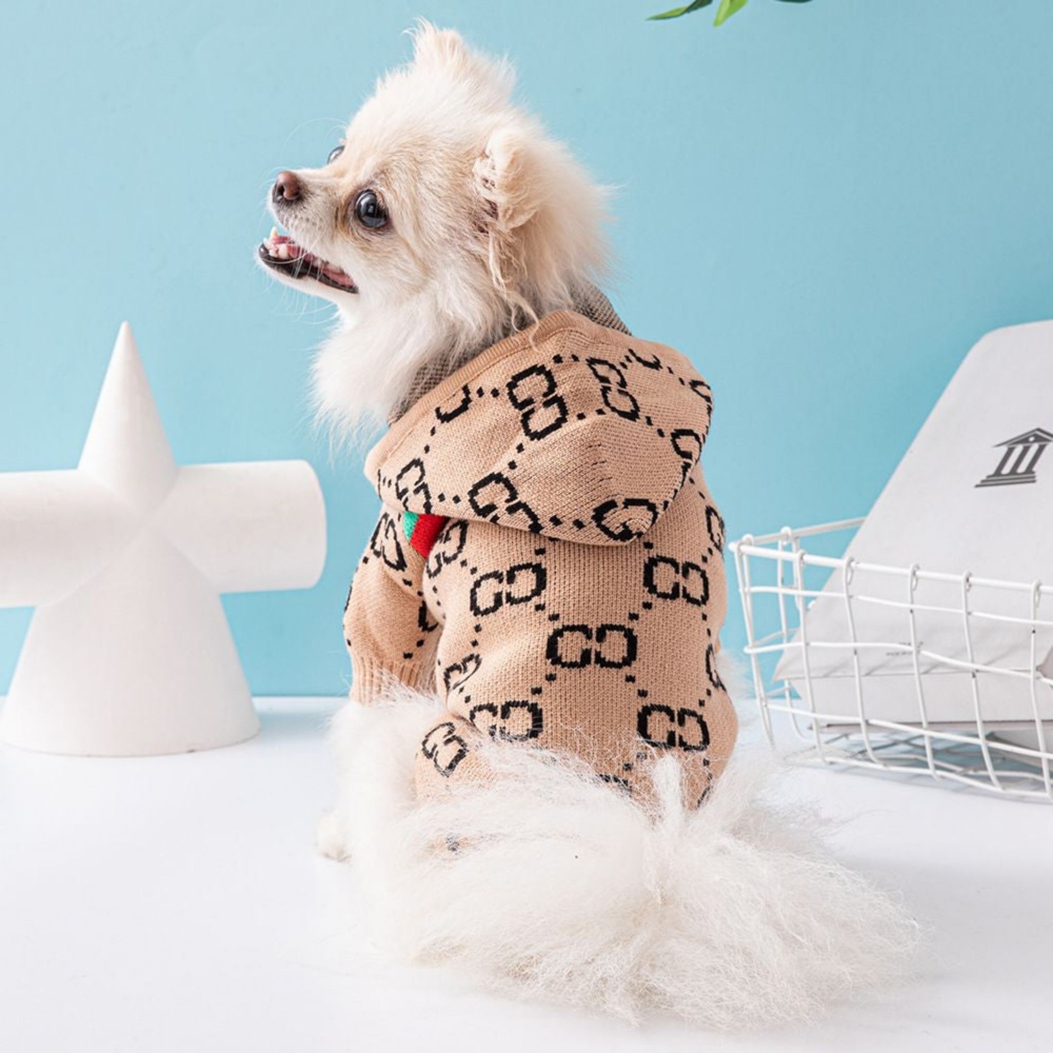 Gucchi Hooded Sweater