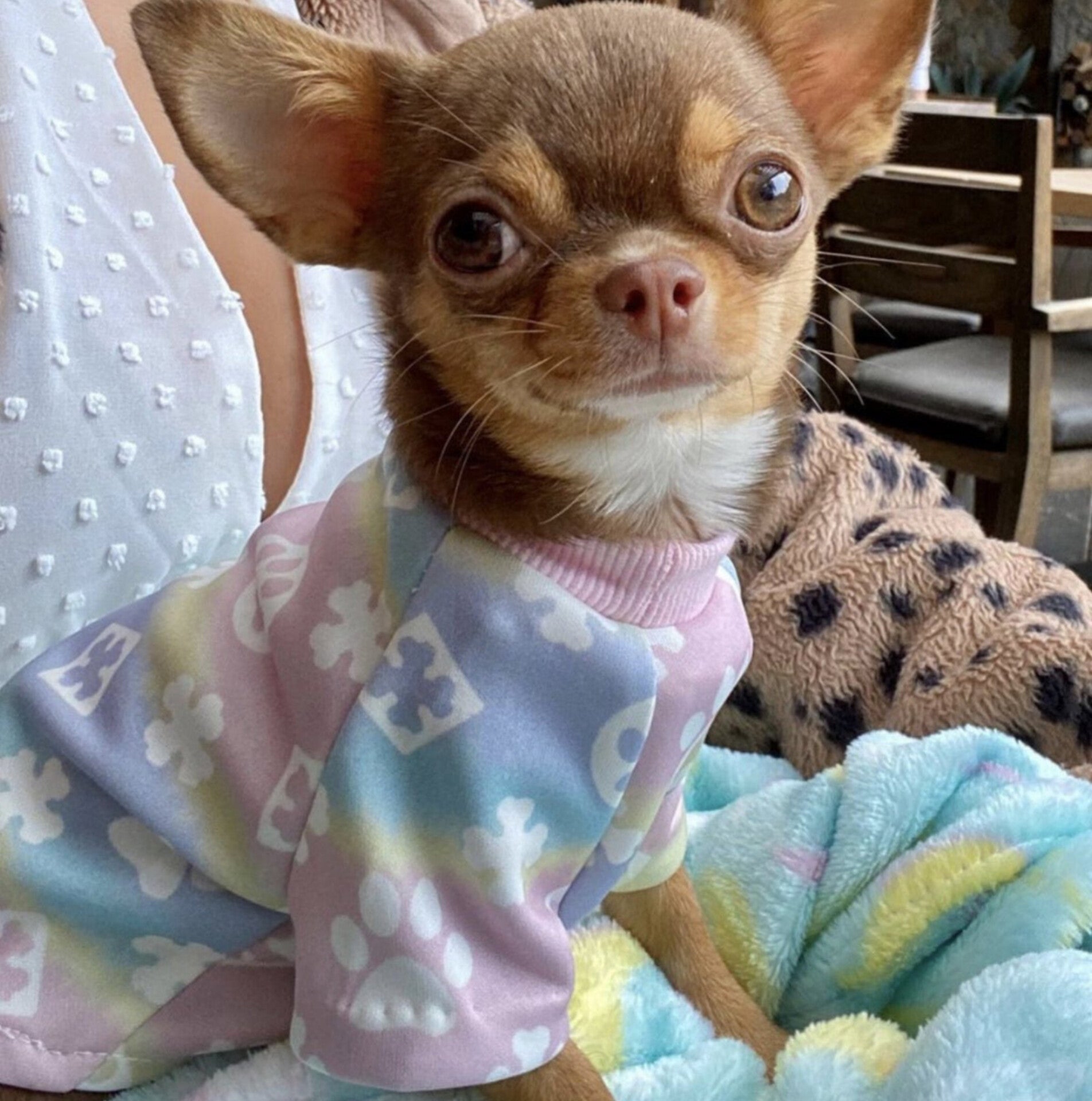 Chewy Vuittawn Tee