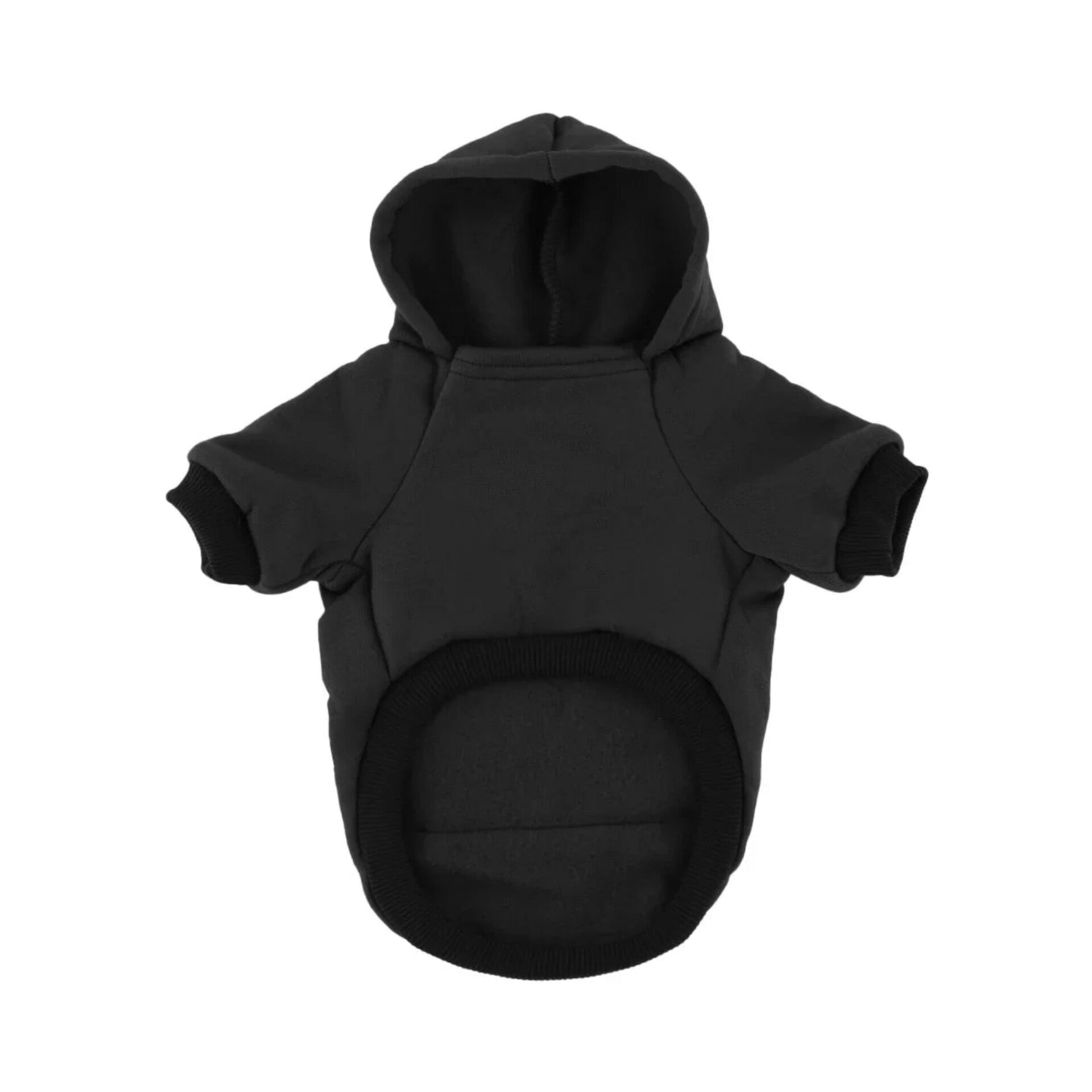 Pawlenciaga Hoodie