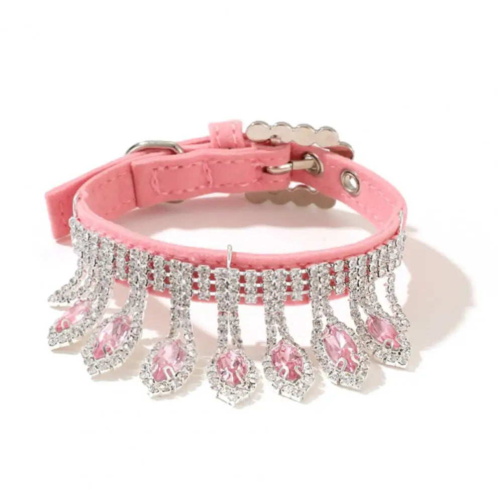 Royal Highness Collar