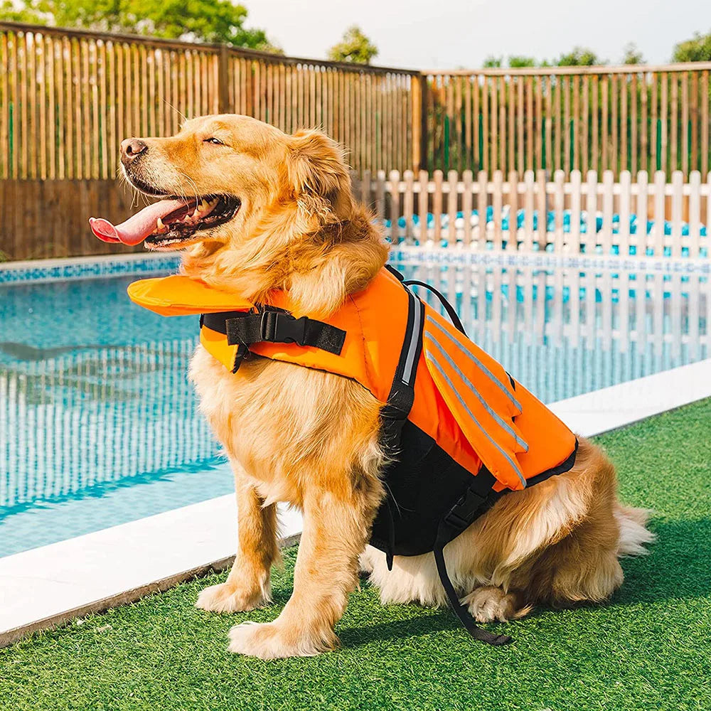 Wings Life Jacket