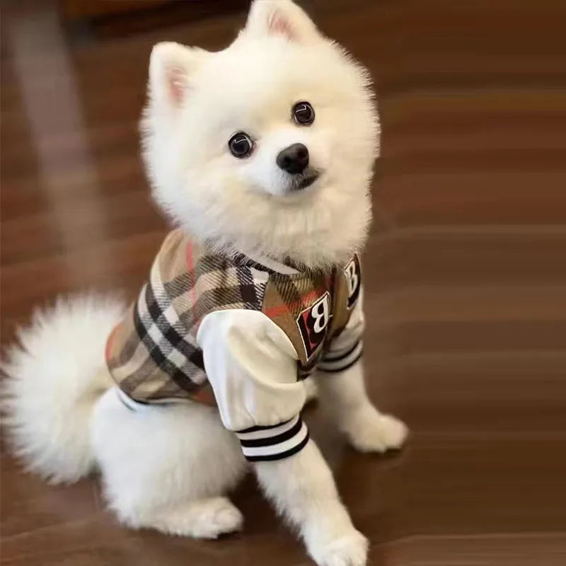 Purberry Baseball Jacket