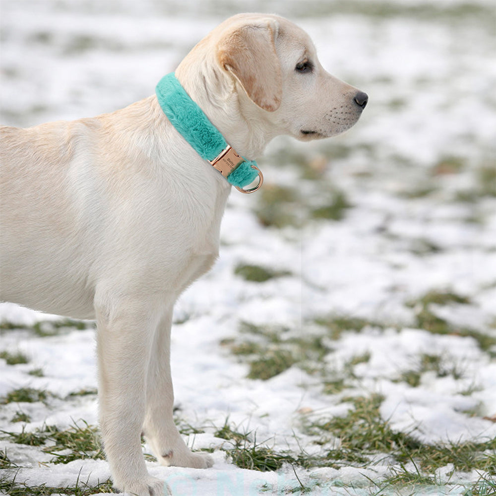 Fur Luxe Personalized Collar
