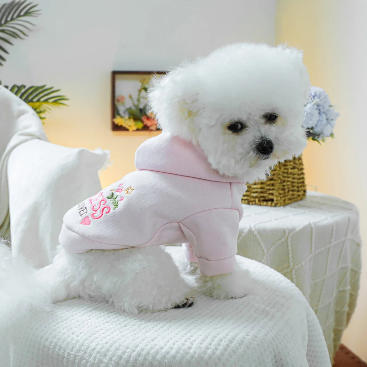 The Princess Has Arrived Hoodie