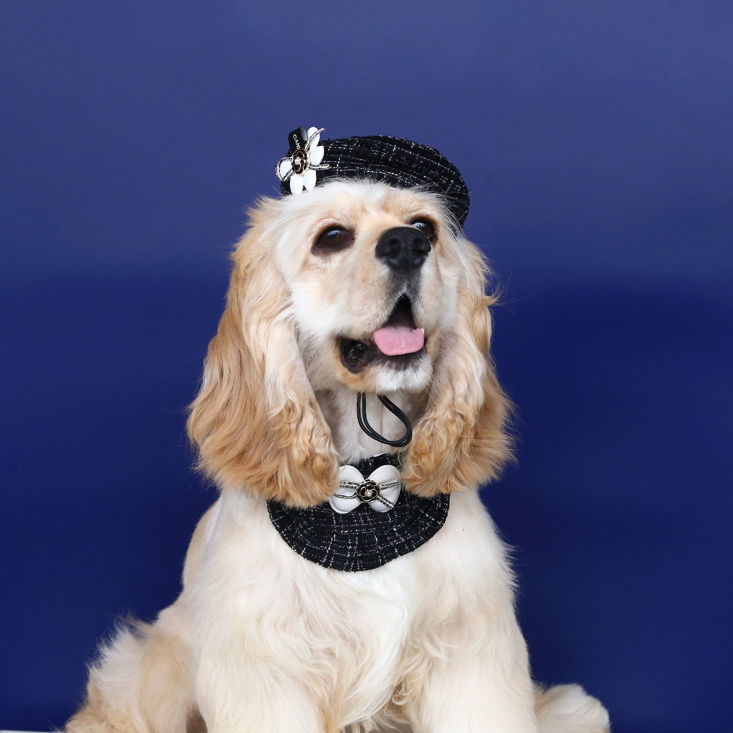 Coco Chewnel Knitted Beret and Bandana