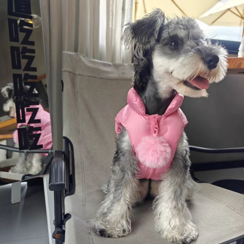 PawChic Princess Vest
