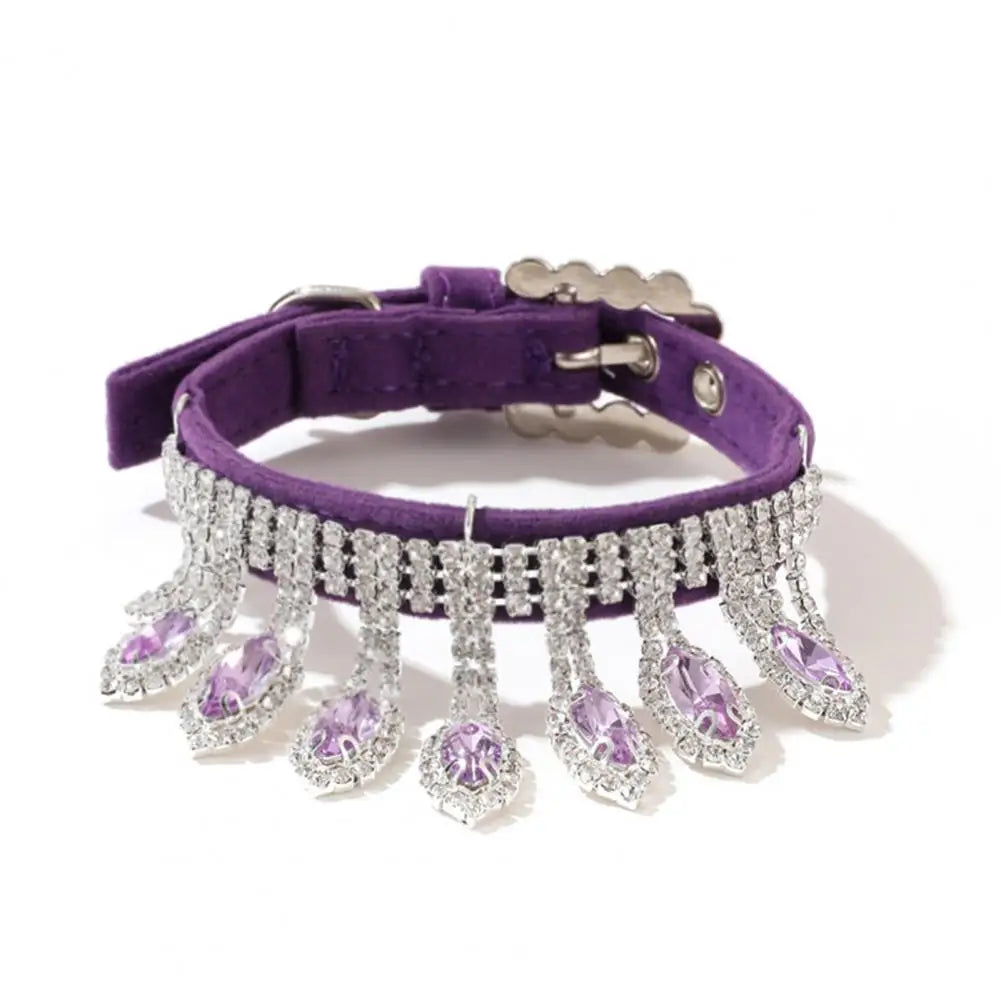 Royal Highness Collar