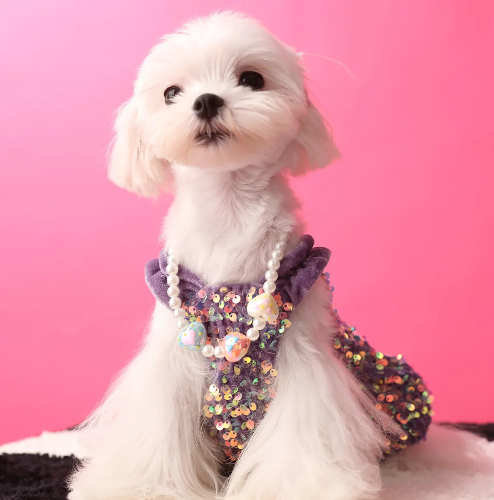 Princess Sequin Dress