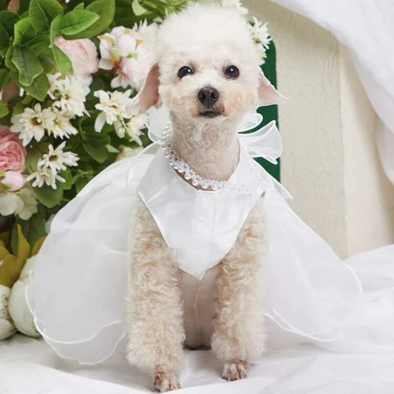 Bridal Wedding Dress