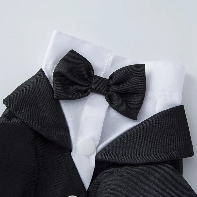 PawLuxe Suit