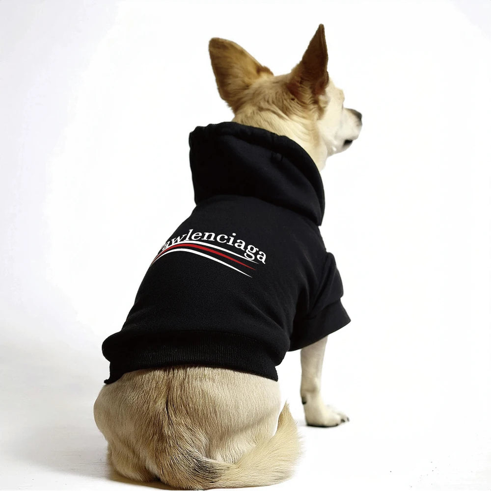 Pawlenciaga Hoodie