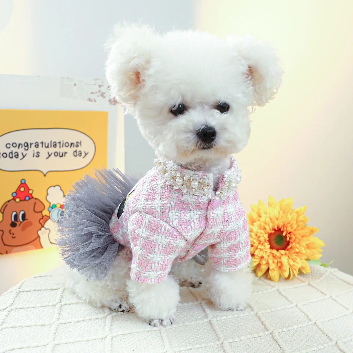 Coco Chewnel Tutu Dress
