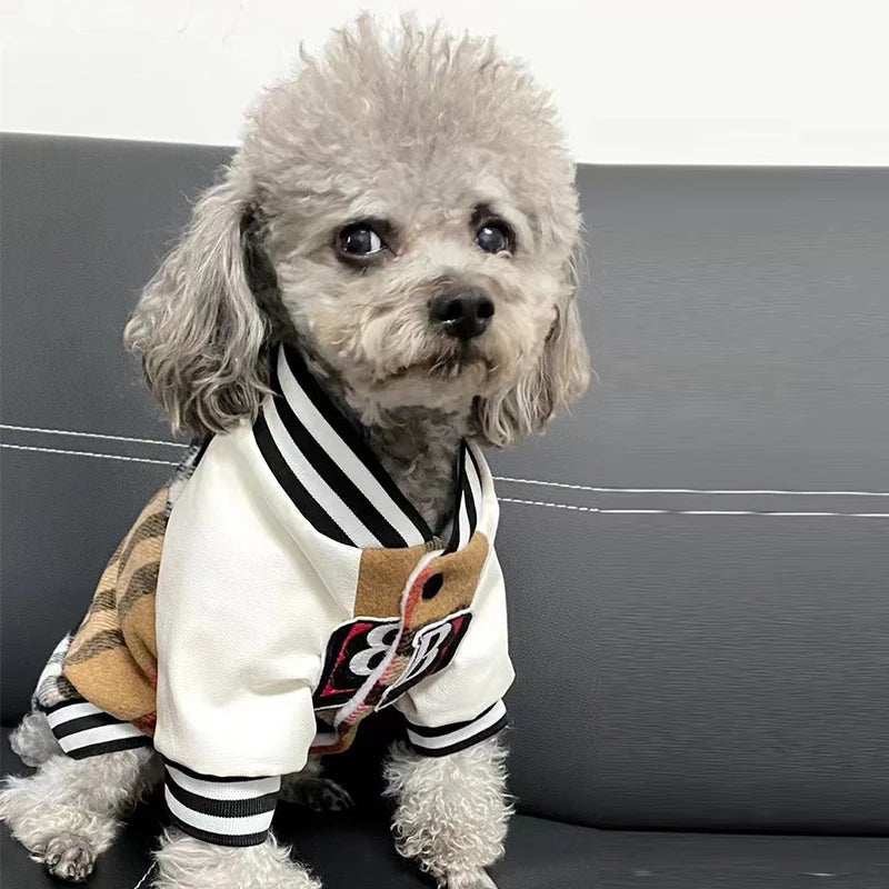 Purberry Baseball Jacket