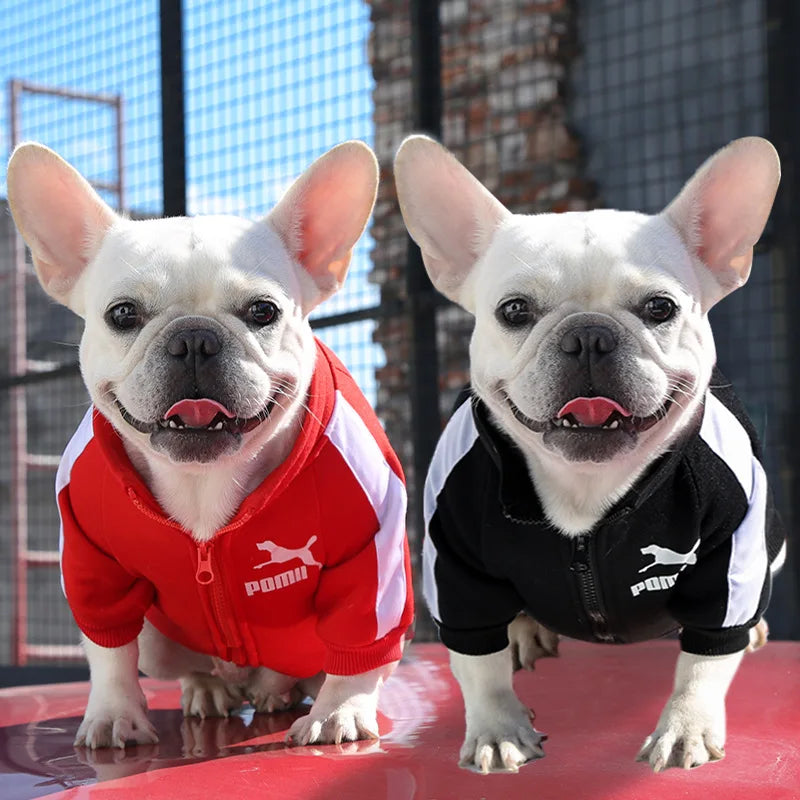 Pawma Jacket