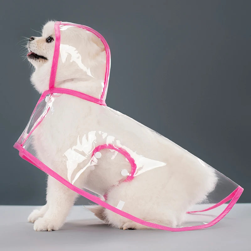 Transparent Hooded Raincoat
