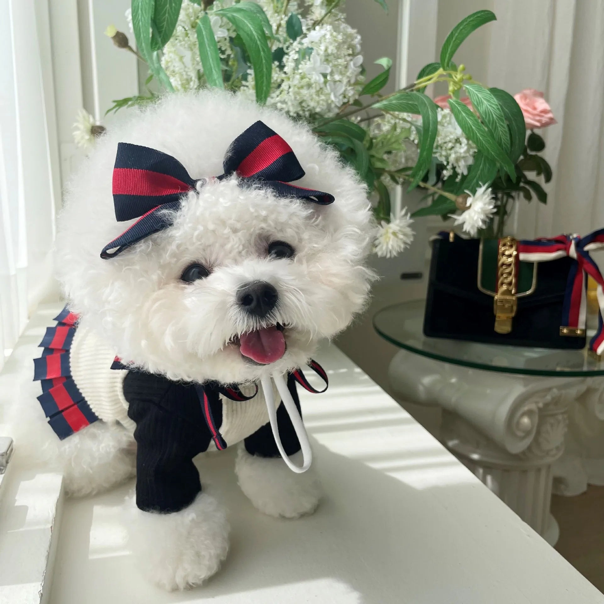 Gucchi Dress and Hair Tie