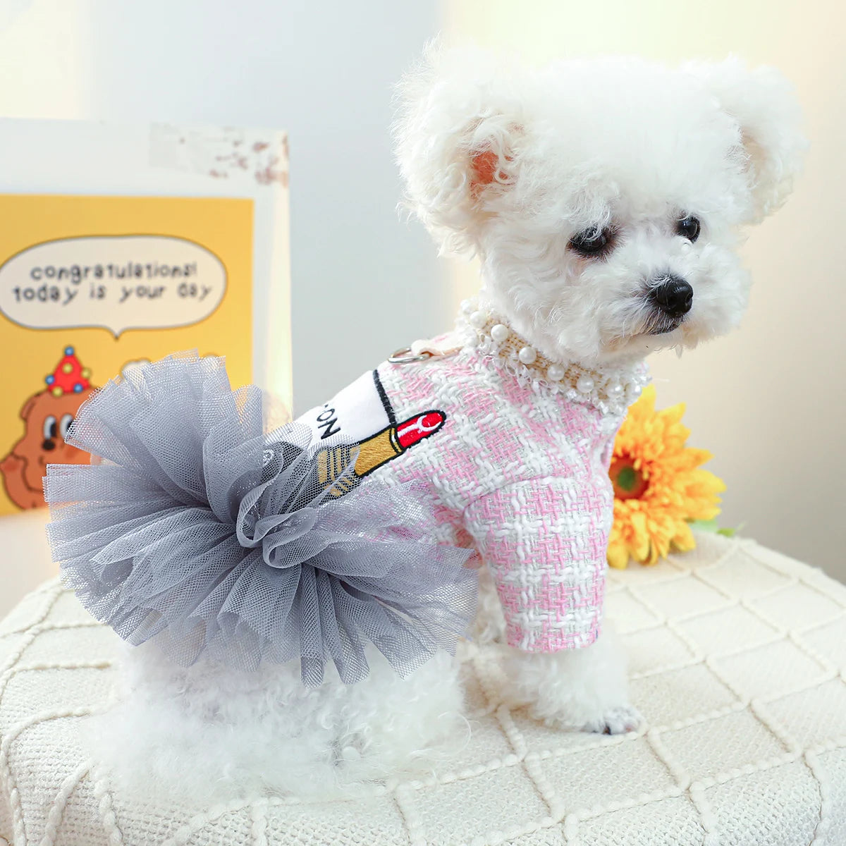 Coco Chewnel Tutu Dress