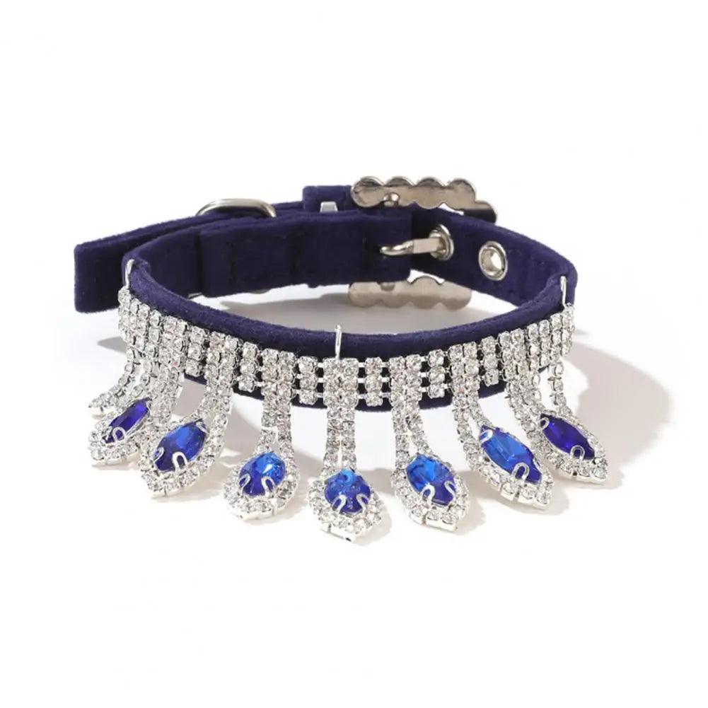 Royal Highness Collar