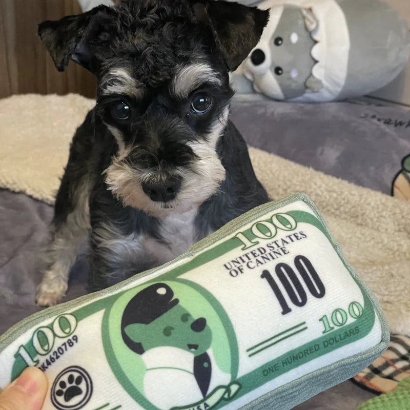Canine Cash Plush Toy