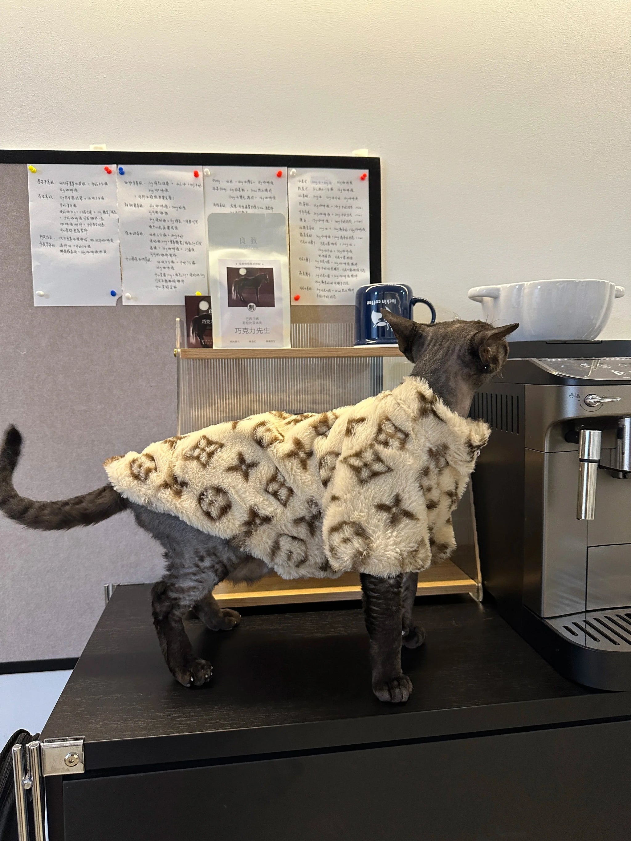 Chewy Vuittawn Plush Jacket