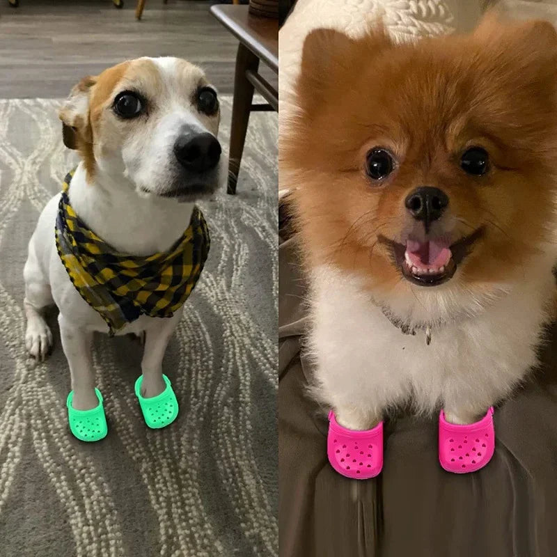 Summer Sandals