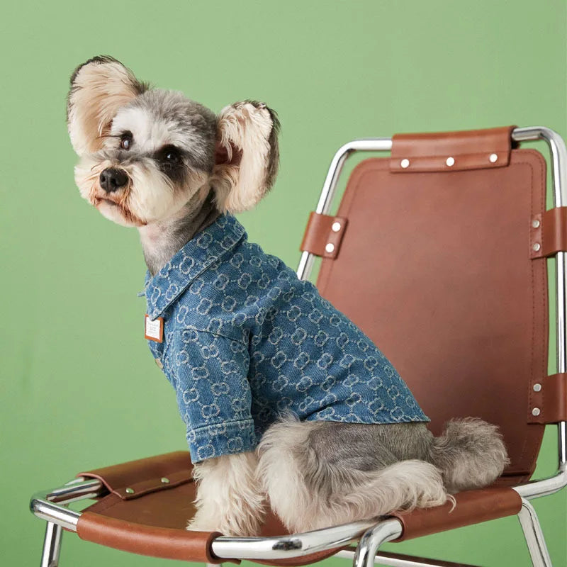 Gucchi Denim Jacket