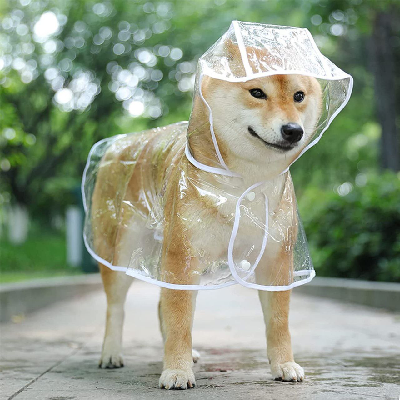 Rainwear