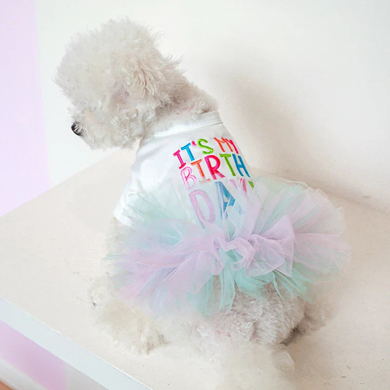 Birthday