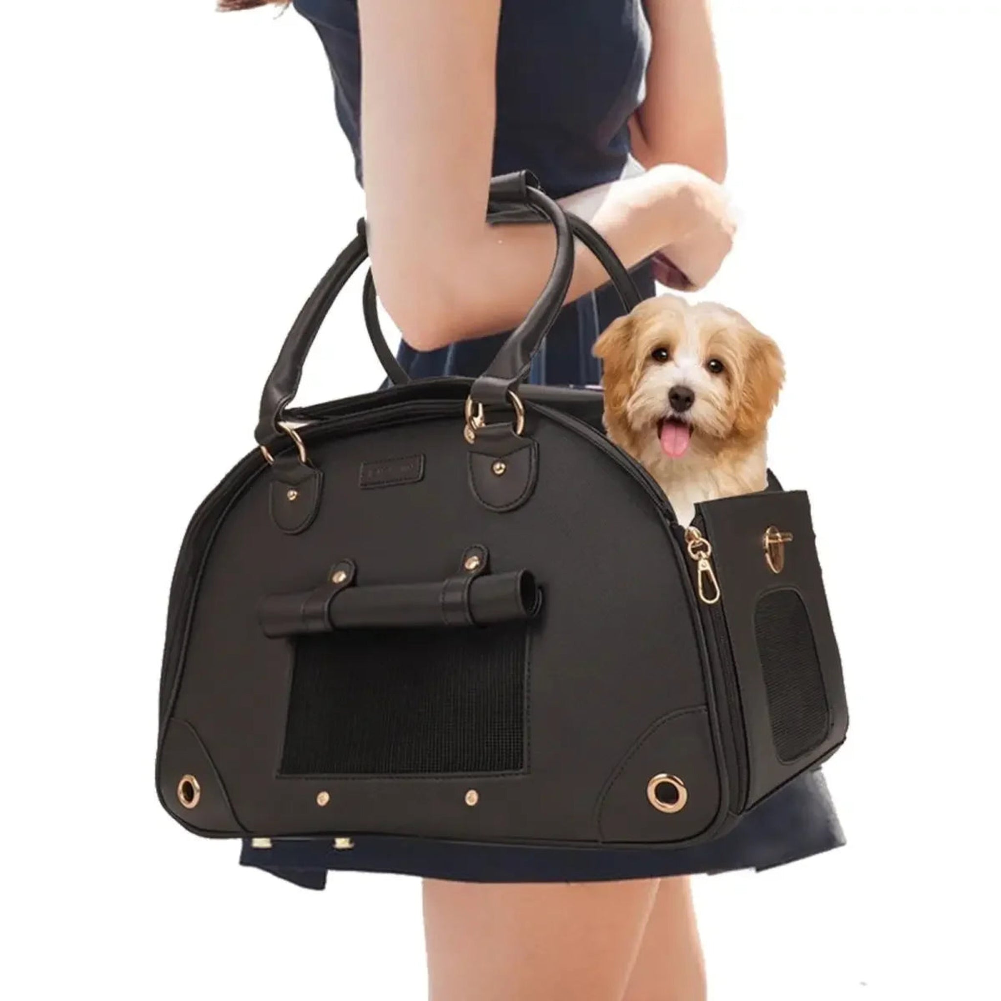 PawChic Dog Carrier