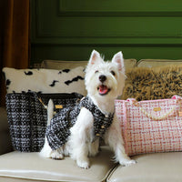Coco Tweed Dog Carrier