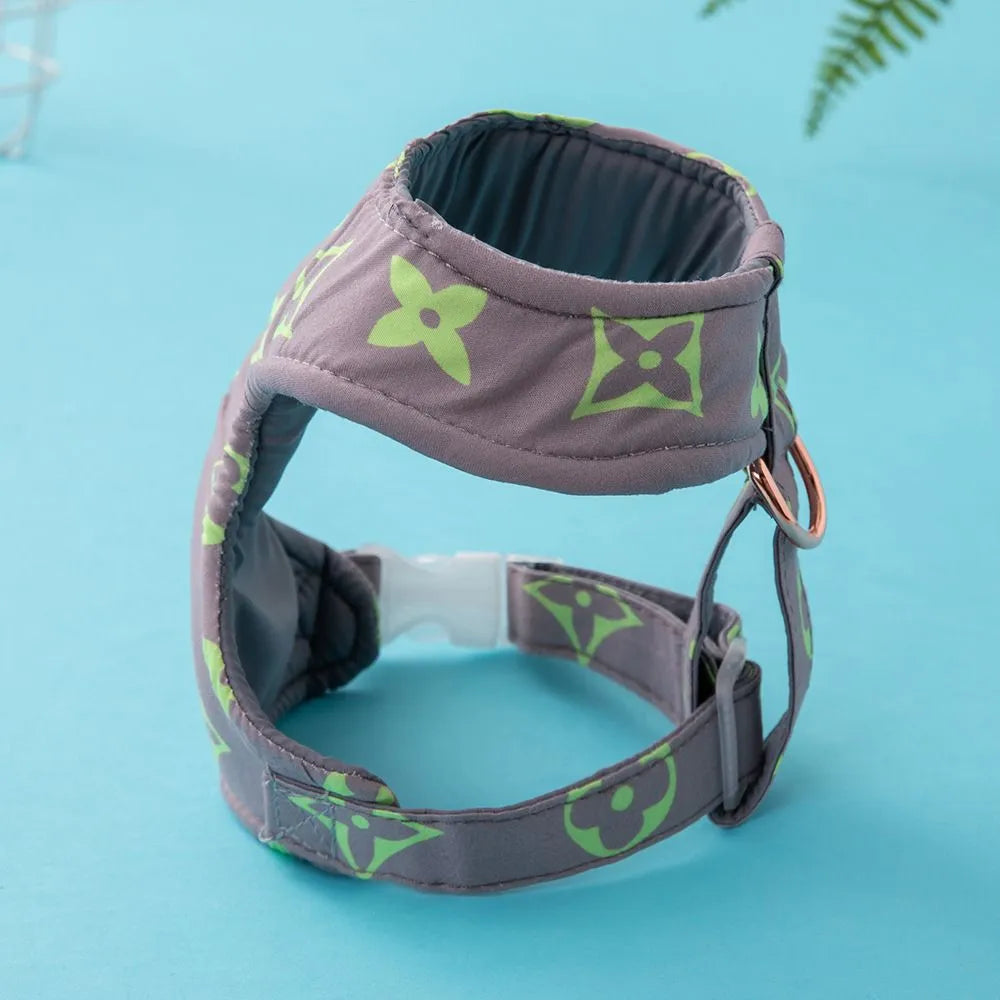 Vuittawn Monogram Harness and Leash