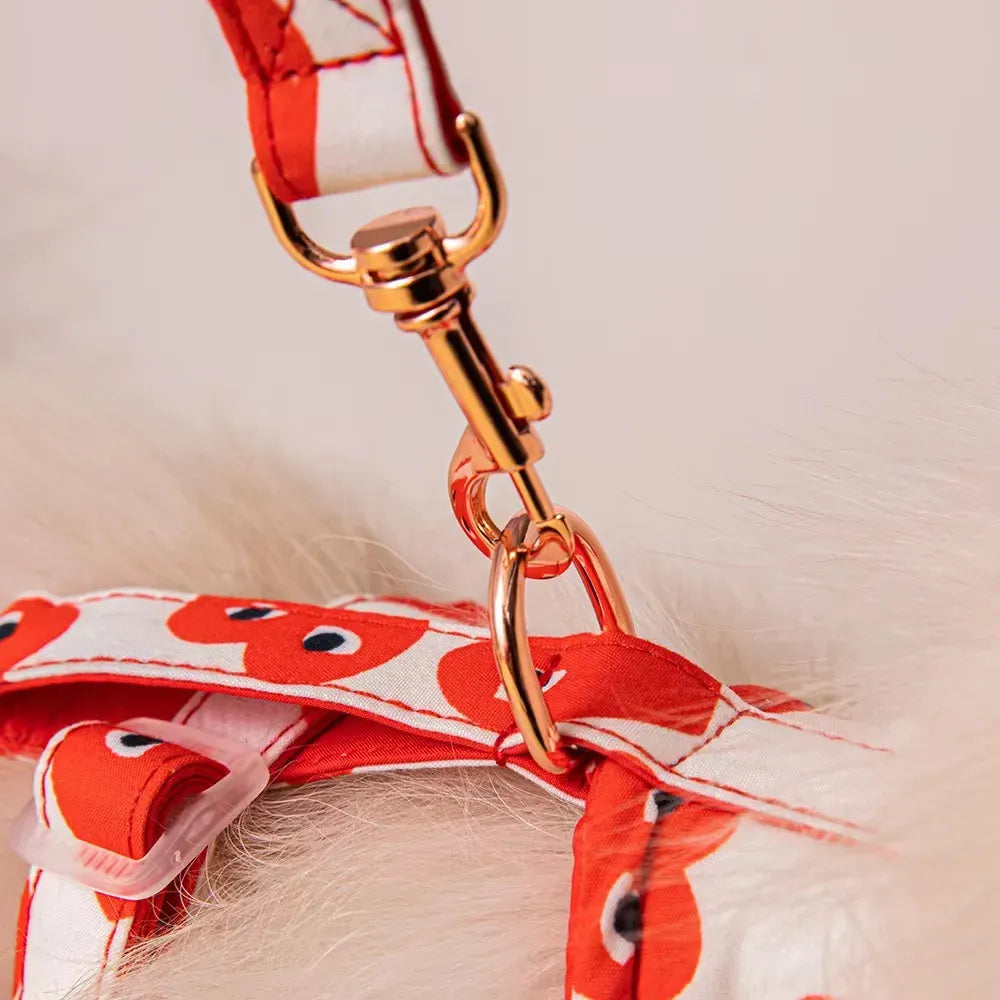 PawHearts Harness and Leash