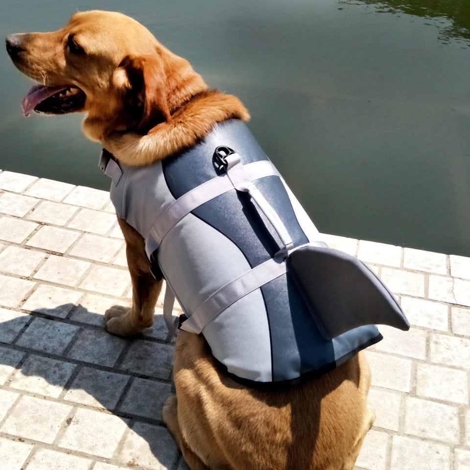 Shark Life Jacket