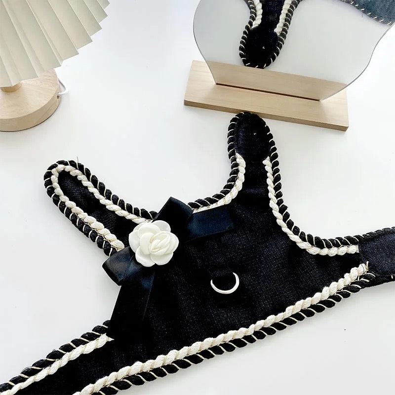 Coco Chewnel Harness and Leash