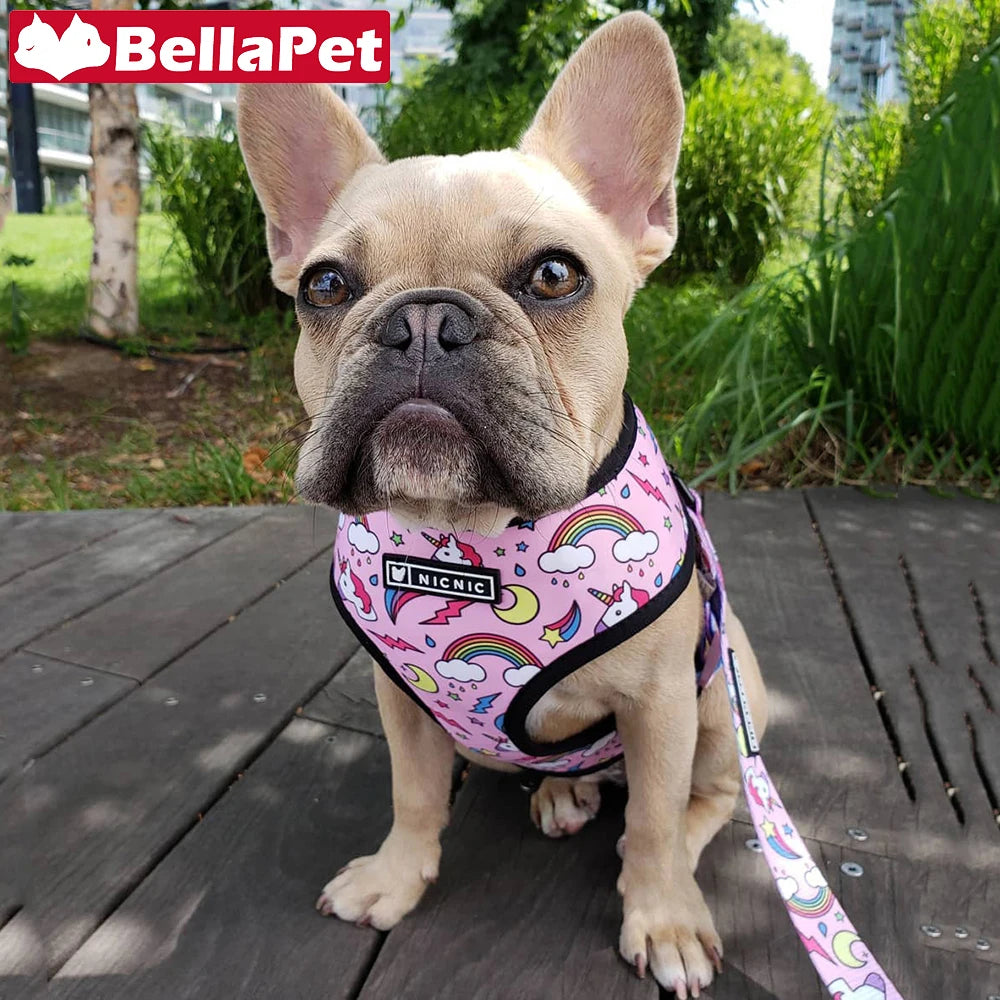 Cute Dog Harness for Medium Small Dogs No Pull Dog Vest Harness Pet Product Leash for Dogs Accessories French Bulldog Pug