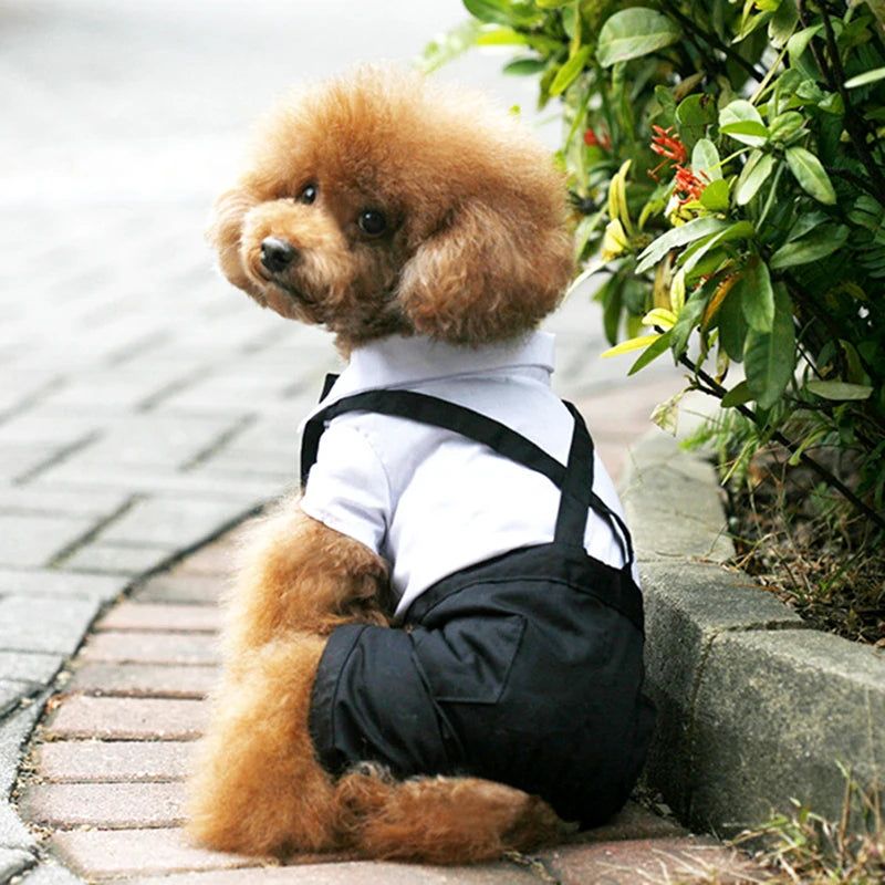 Pawlegent Tuxedo Jumpsuit
