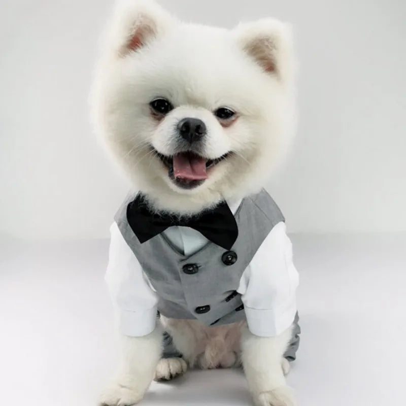 Tuxedo Suit