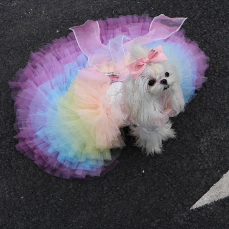 Multicolor Wedding Dress