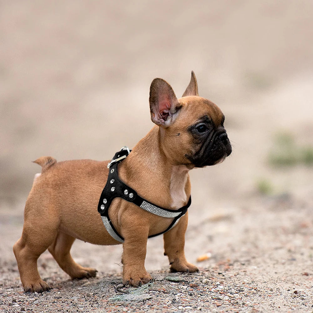 PawChic Rhinestone Harness