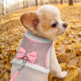 PawFur Rhinestone Harness and Leash