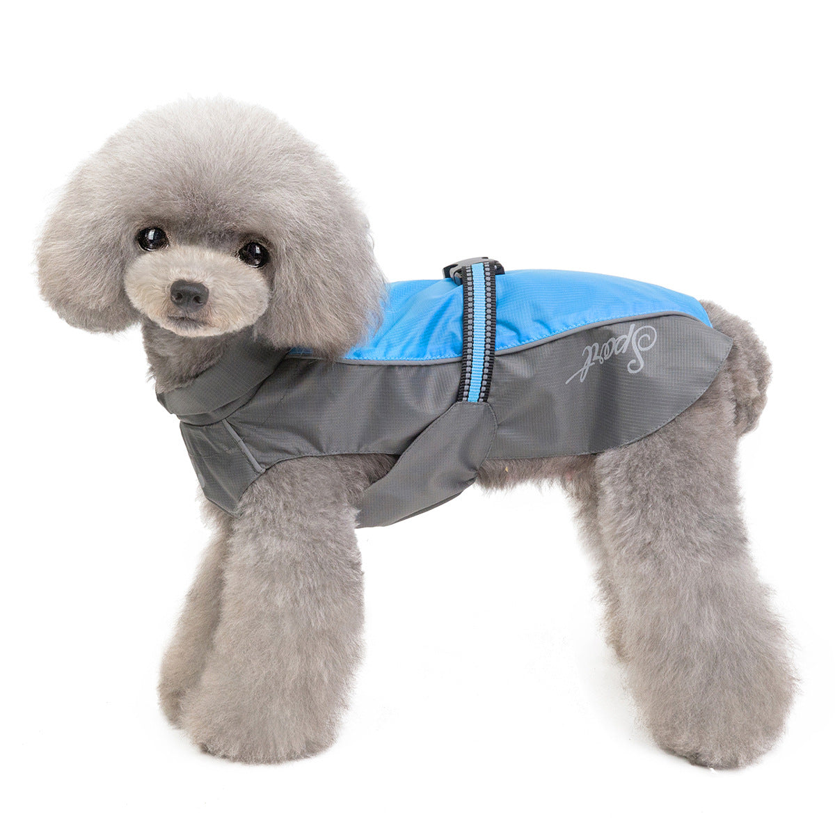 PawGo Raincoat