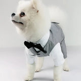 Tuxedo Suit