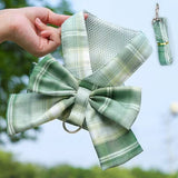 Plaid Bow Harness and Leash