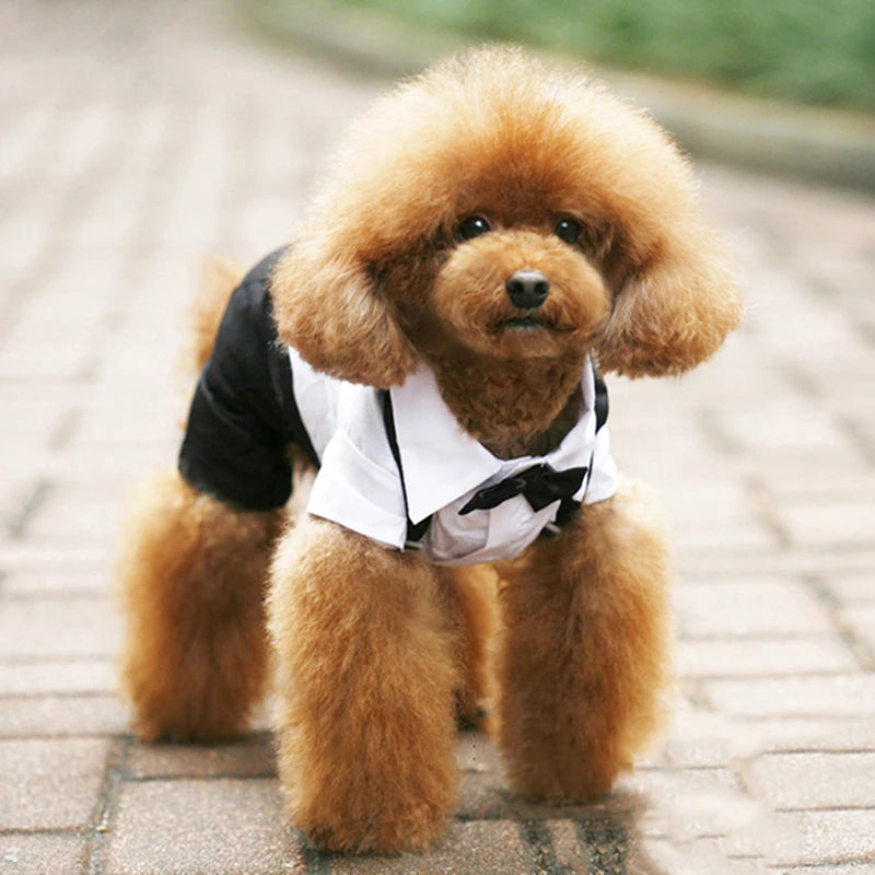 Pawlegent Tuxedo Jumpsuit